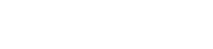 blaze logo white